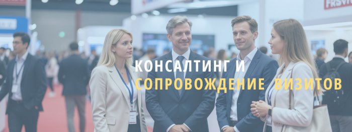 Консалтинг и сопровождение визитов