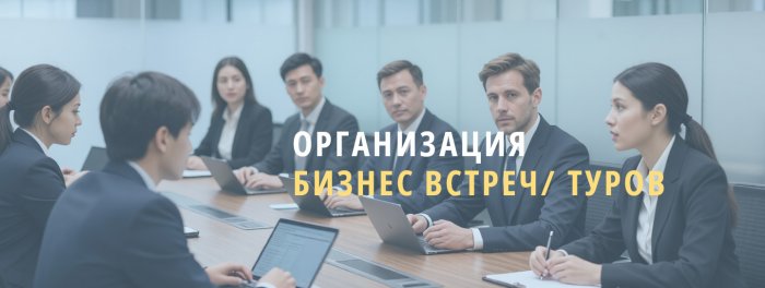 Организация бизнес-встреч/миссий/туров